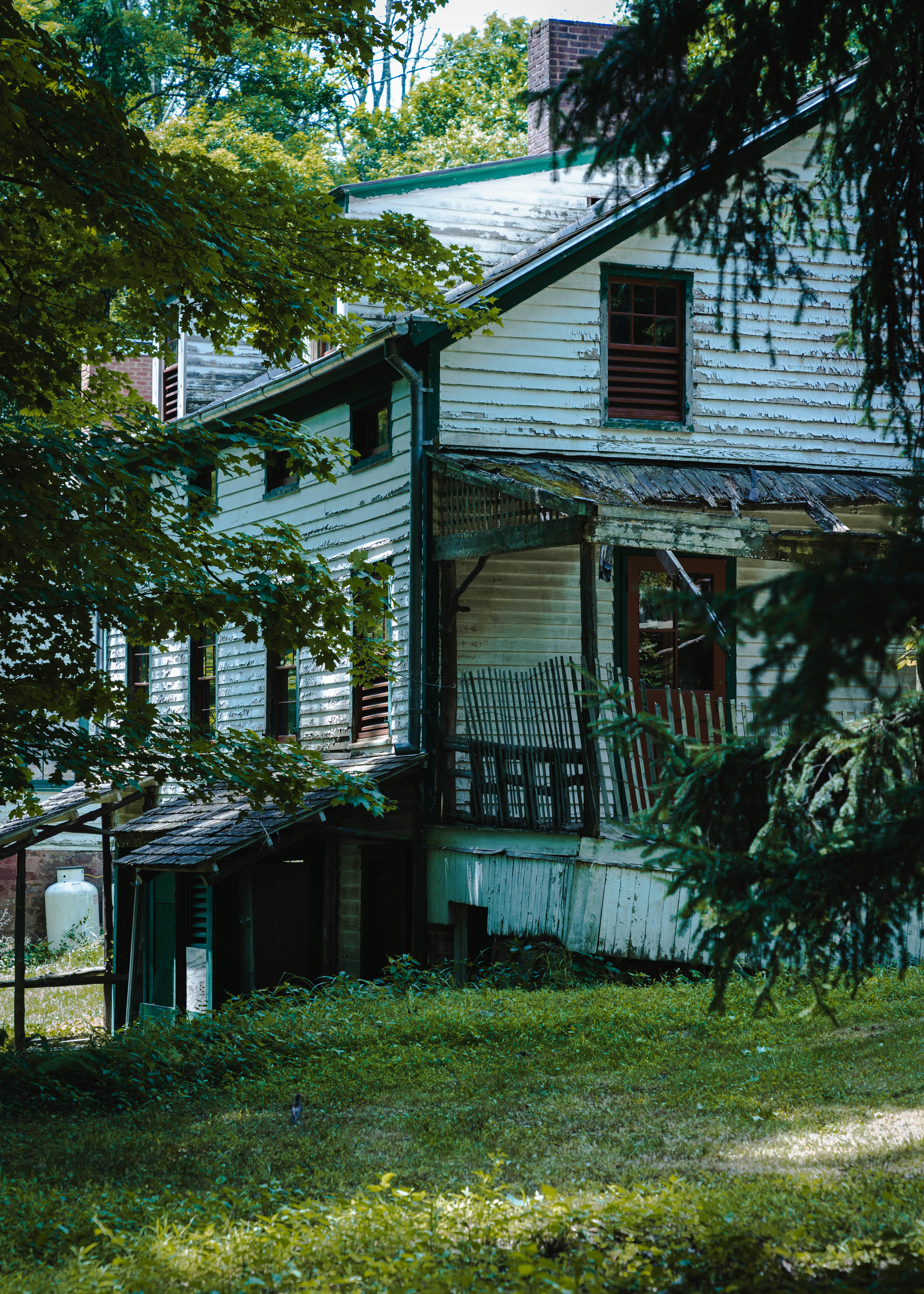 Mold inspection