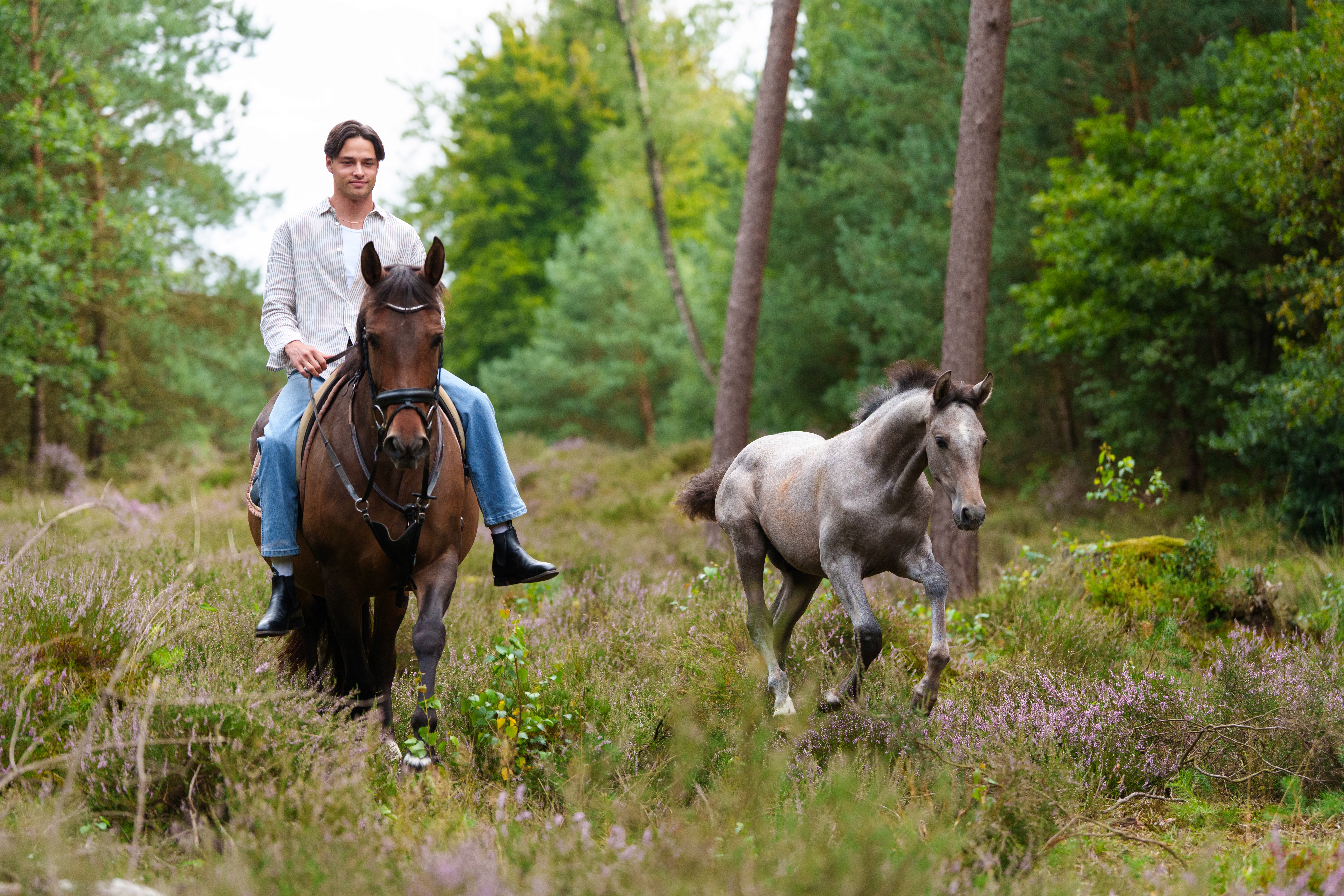 PRE mare and foal in the woods