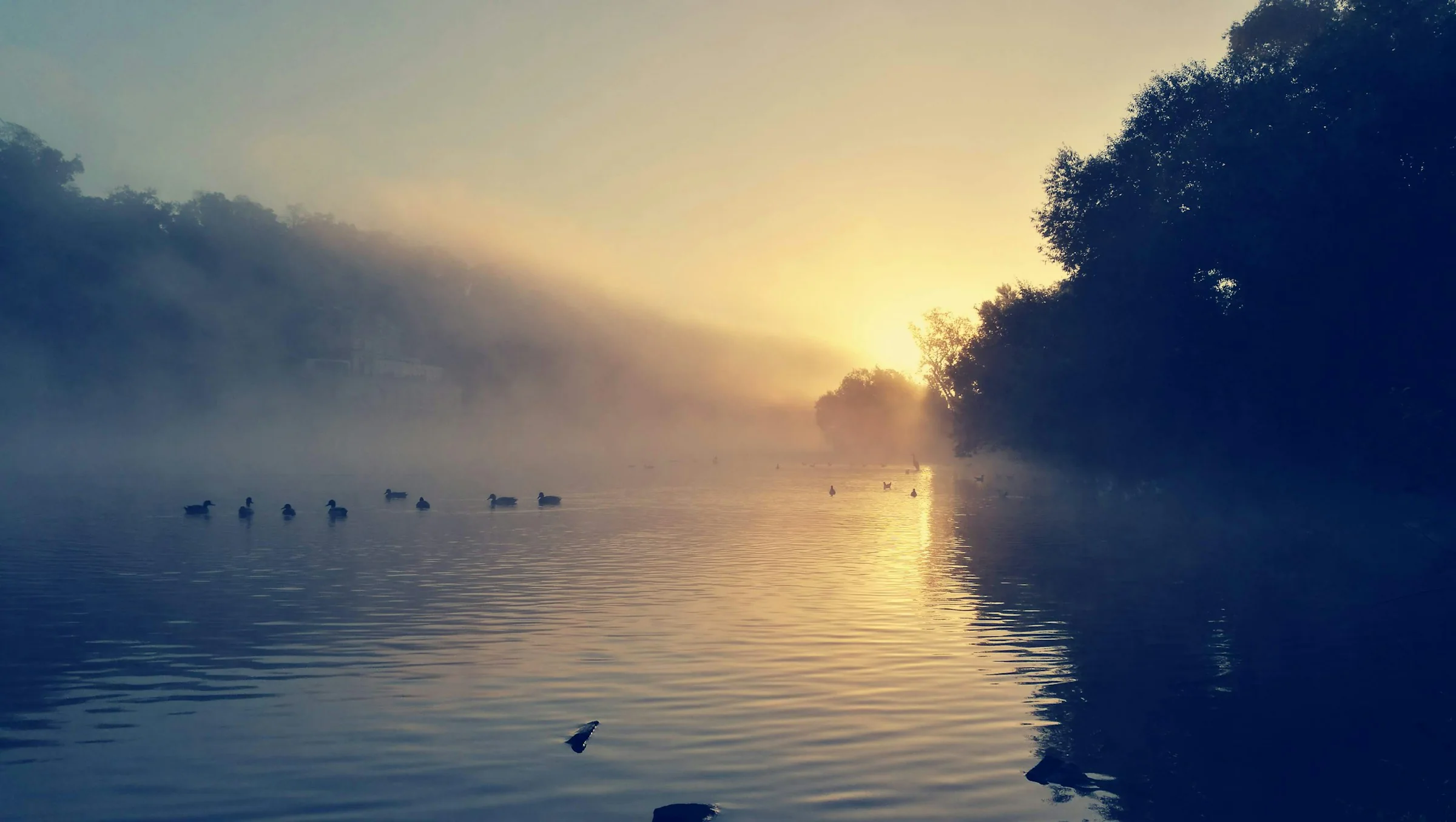 Mülheim an der Ruhr, Ruhr im Morgenlicht