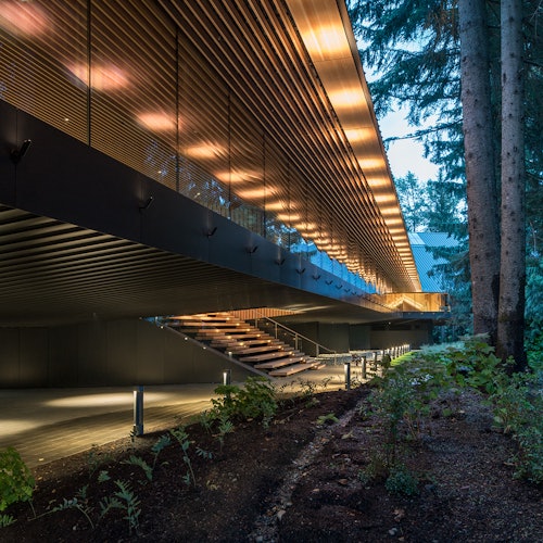 現代建築，擁有玻璃外牆和木製縱條，架高於柱子上，配有燈光樓梯，四周環繞著樹木和植物。