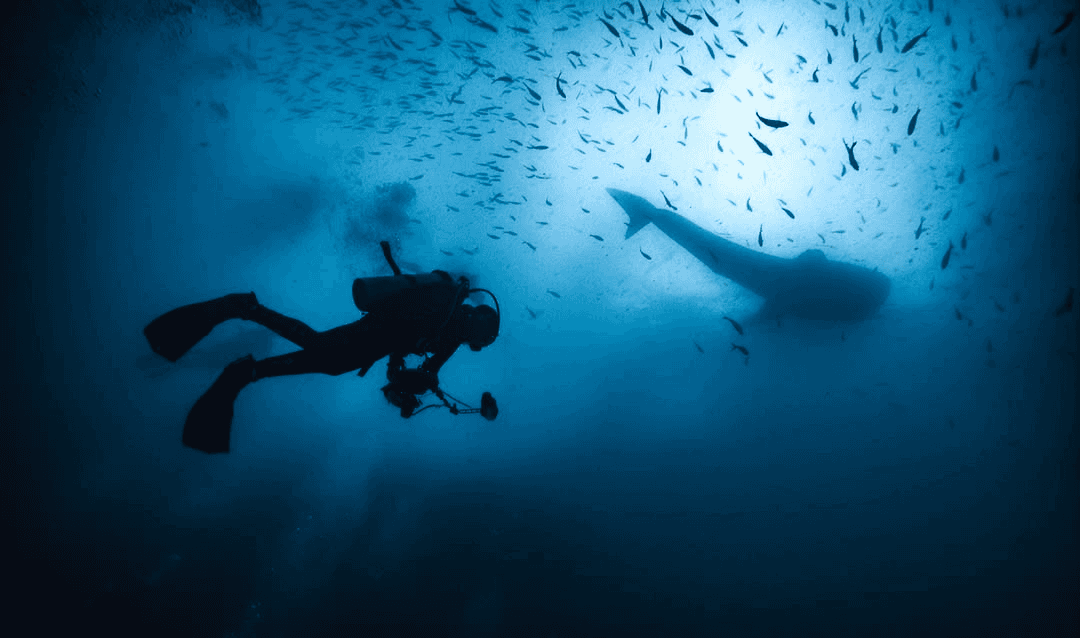 Muay Thai Camp Thailand - Zeremonie vor dem Kampf