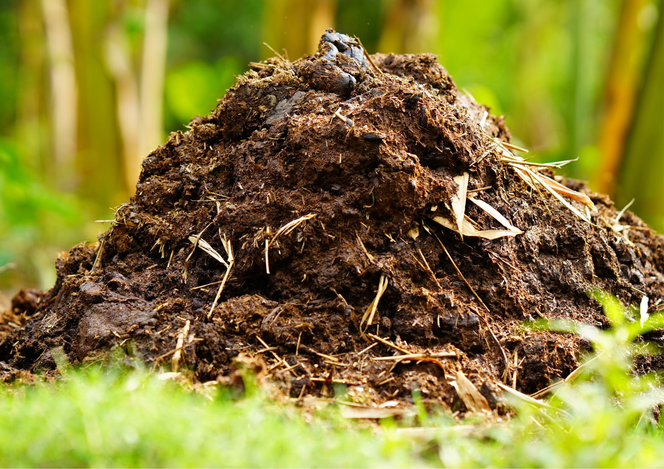 Garden maintenance in the height of summer