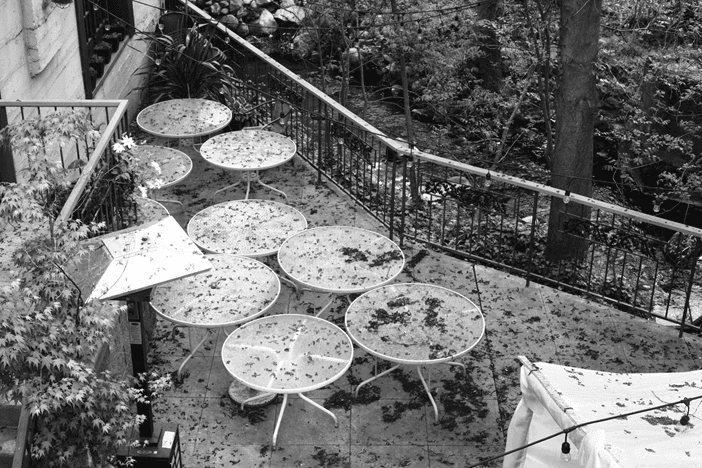 Leaf-covered patio tables beside a creek