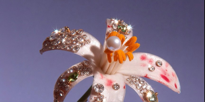 Team discussing the project