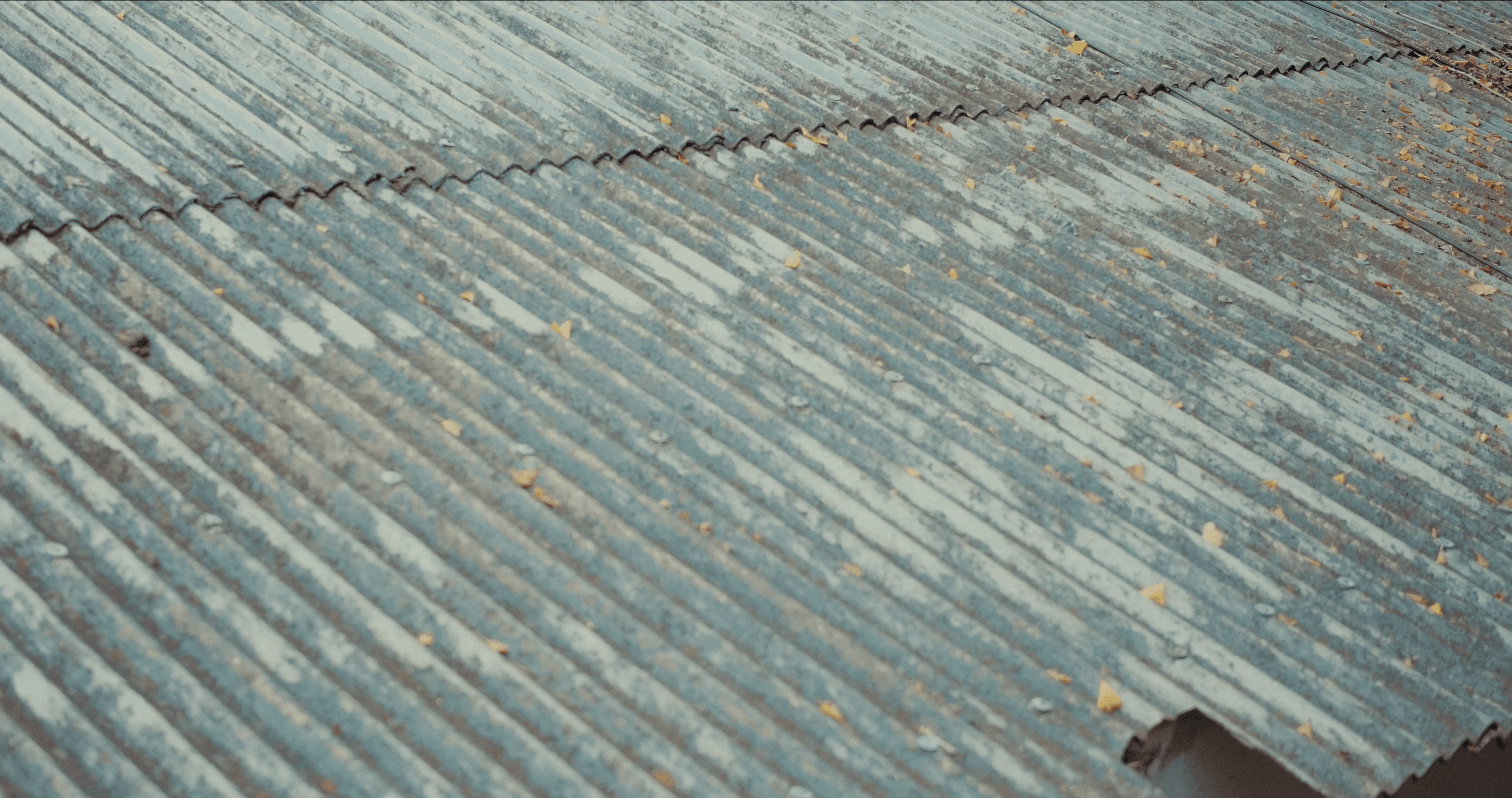 Person in white astronaut helmet with neutral background