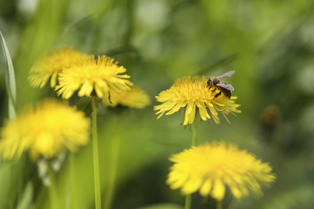 lurred crowd of people walking through a busy airport or transit terminal.