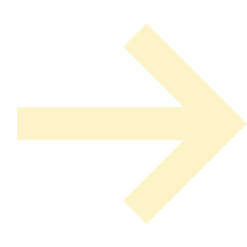 Next Arrow