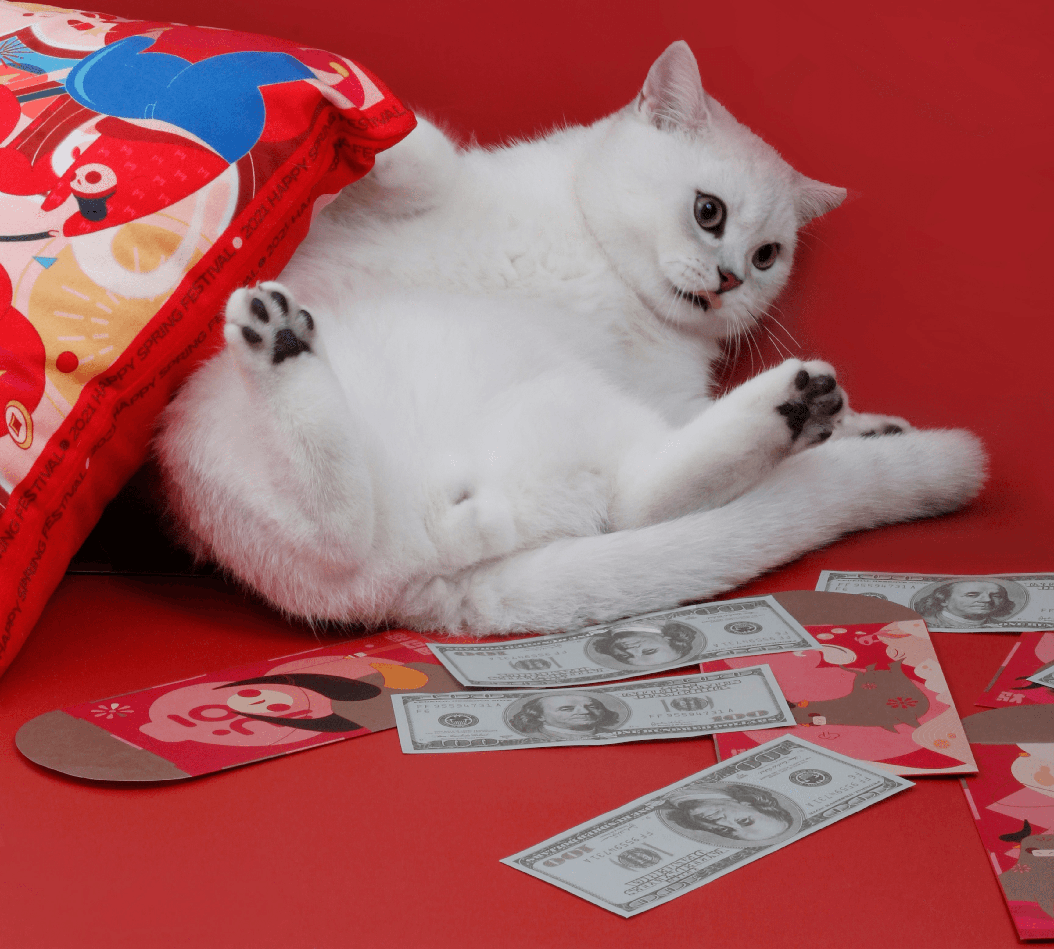 a cat lying on a table