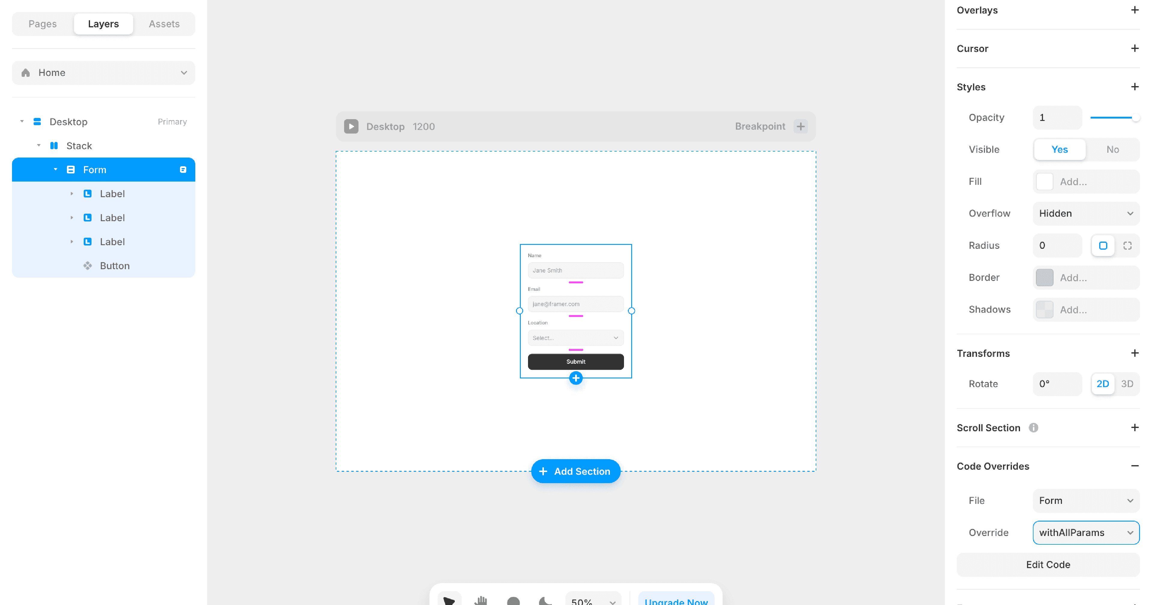 UTM Parameters in Framer Forms