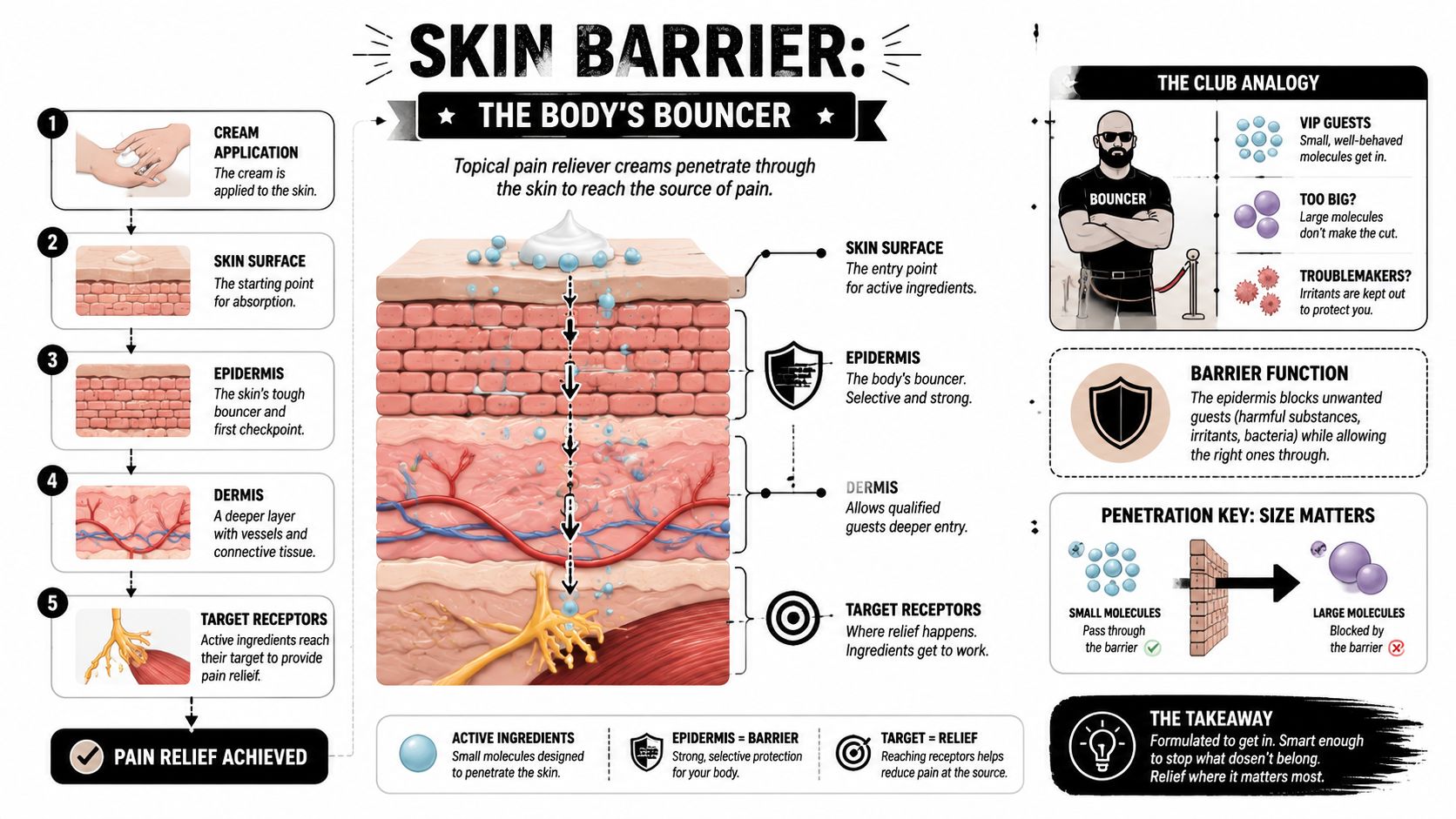 A diagram explaining how topical pain relief creams penetrate the skin layers to reach target receptors.