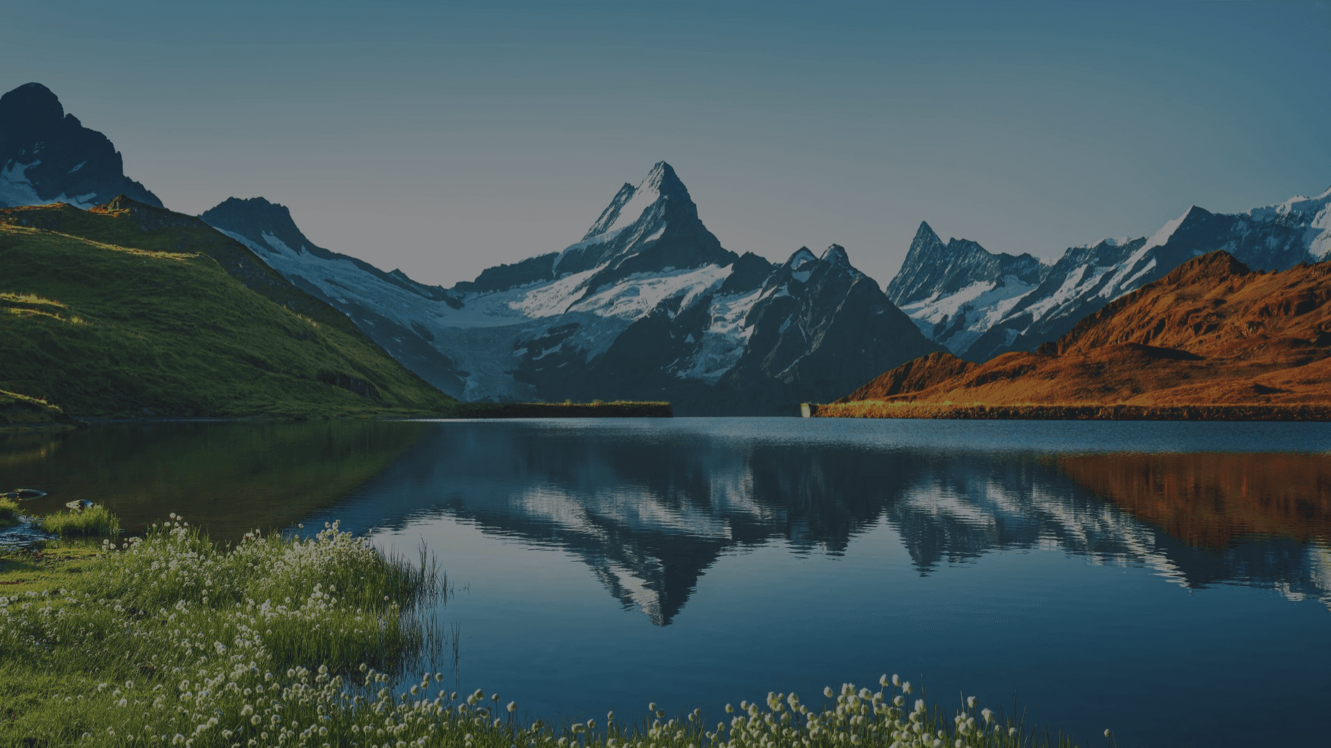 a crowd of people watching a fireworks display
