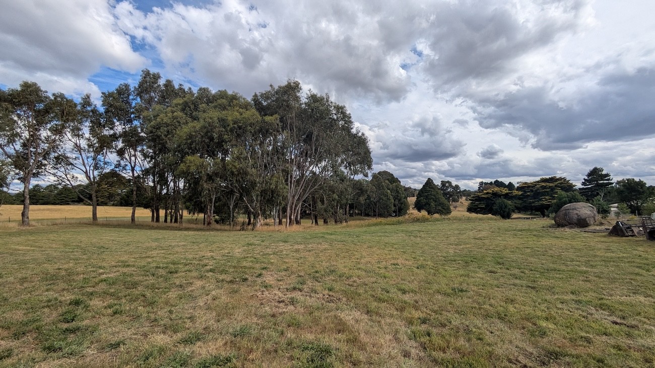 Hemp block on a field 5