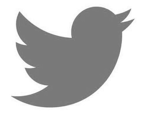 Twitter Greyscale Logo