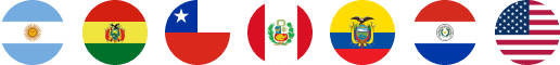 Banderas de Argentina, Bolivia, Chile, Perú, Ecuador, Paraguay y Estados Unidos