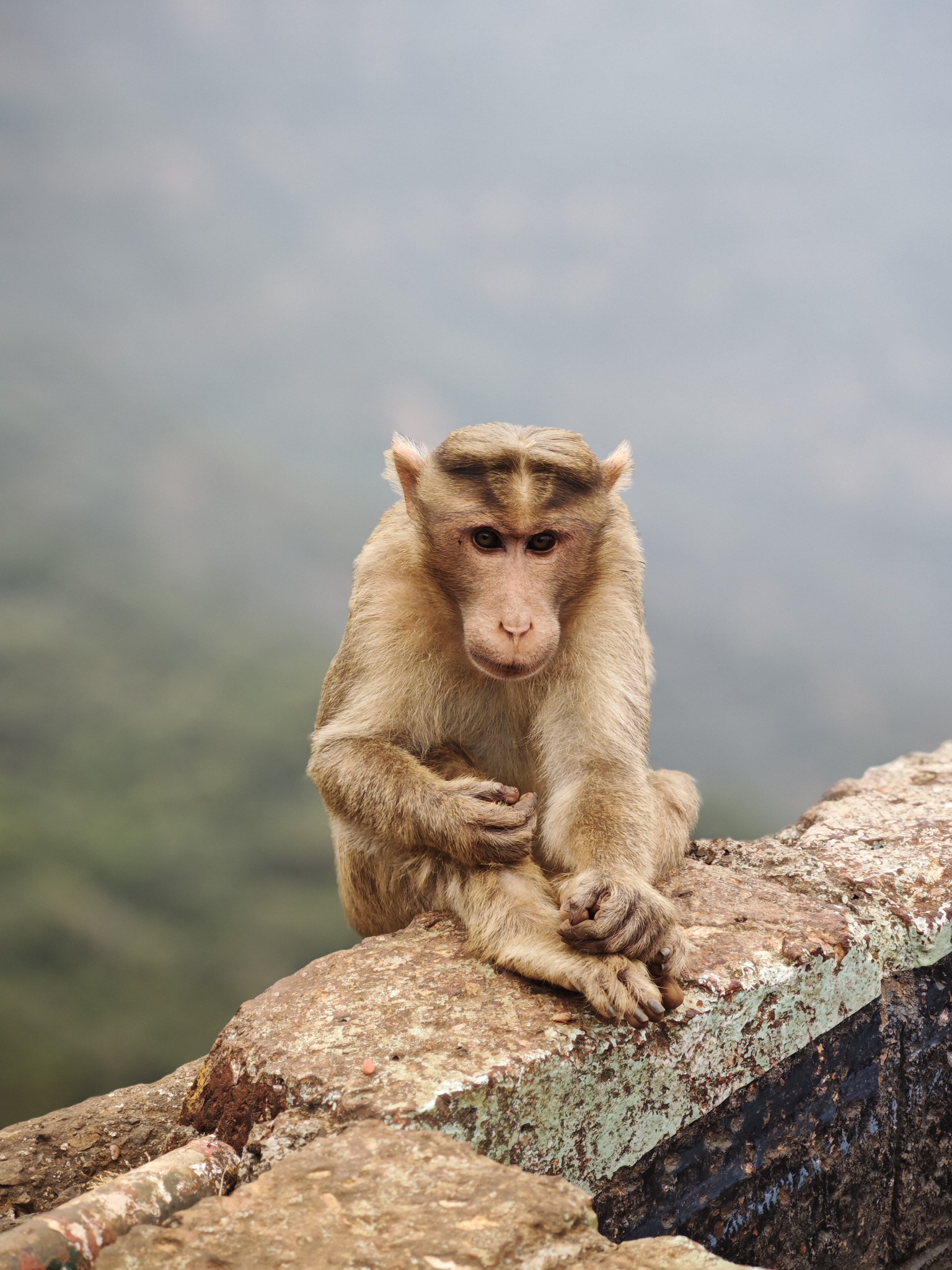 Women On Neon Background