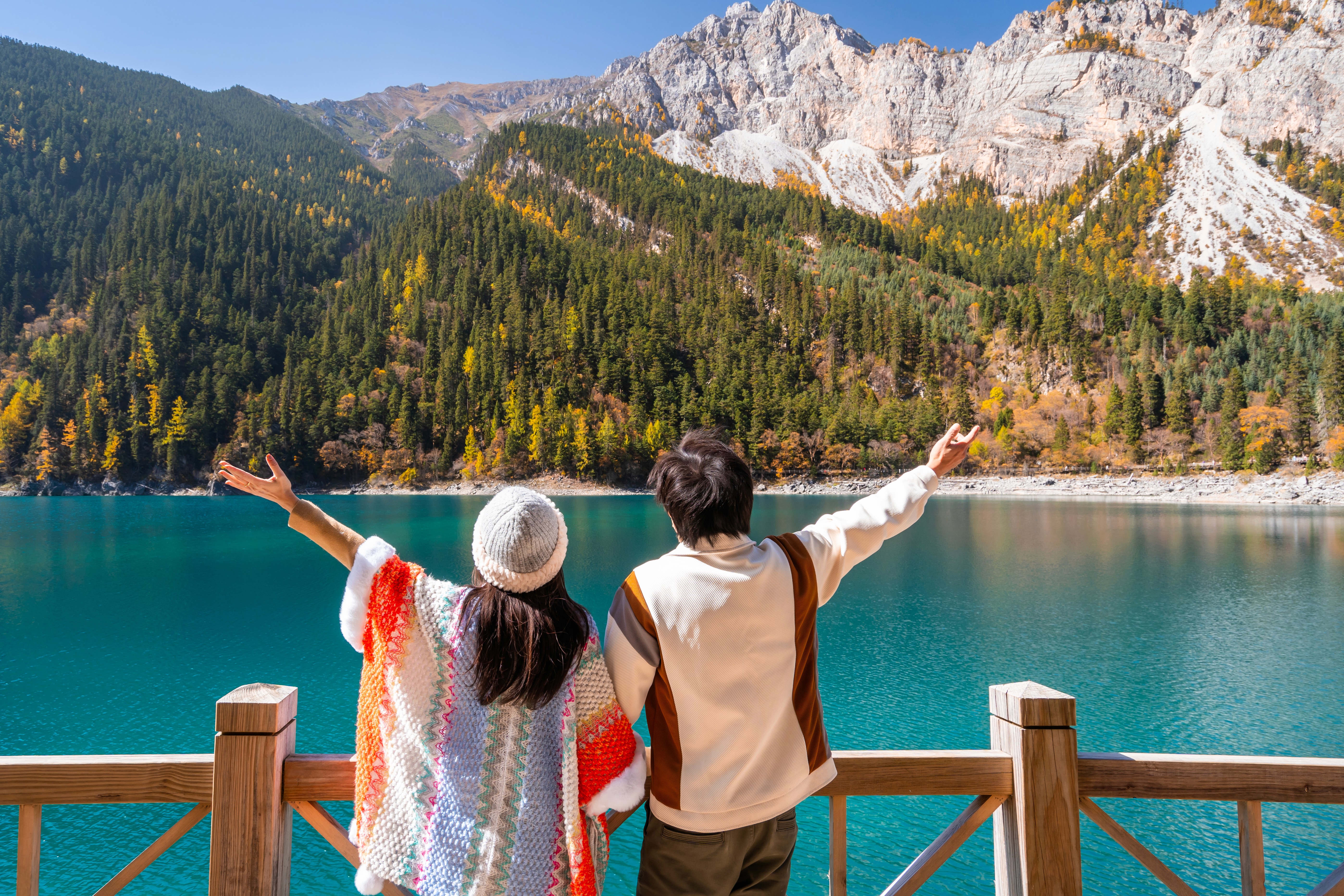 Close-up of evergreen foliage, showcasing vibrant green needles densely packed together.