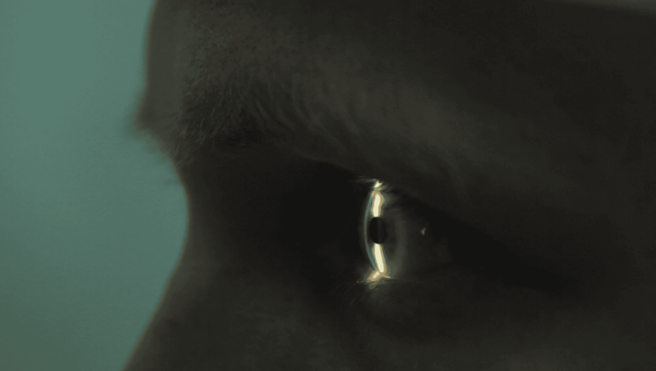 Extreme close-up of a person's eye with visible digital reflections—suggesting vigilance, cybersecurity awareness, or threat monitoring.