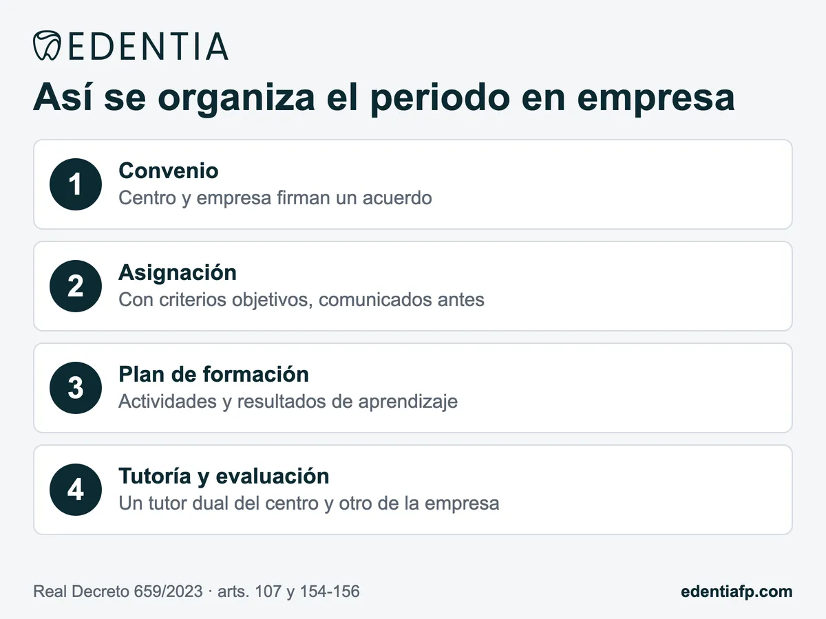 Cuatro pasos del periodo de formación en empresa: convenio, asignación, plan de formación y tutoría con evaluación