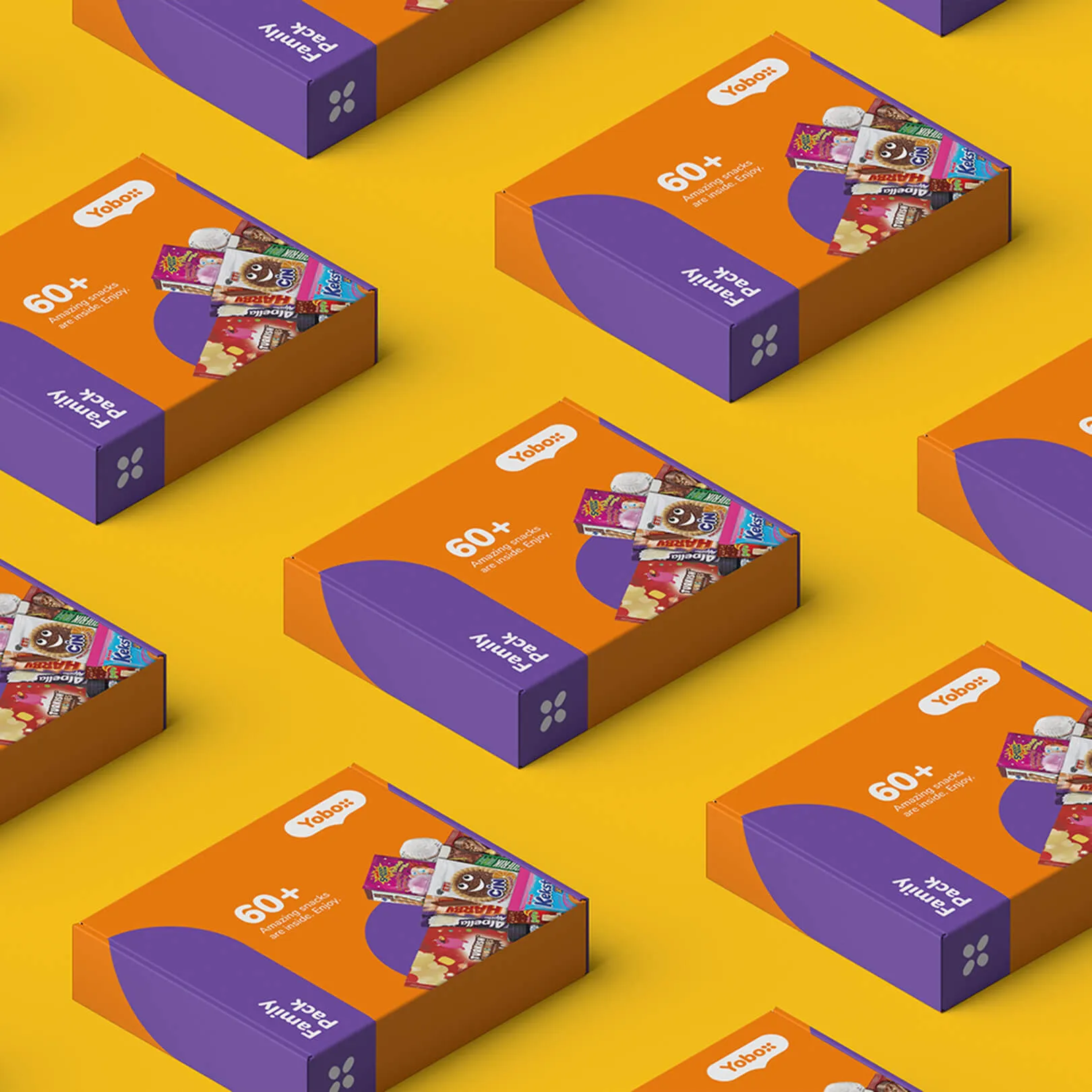 Yobox branded packaging and product presentation from the completed creative project