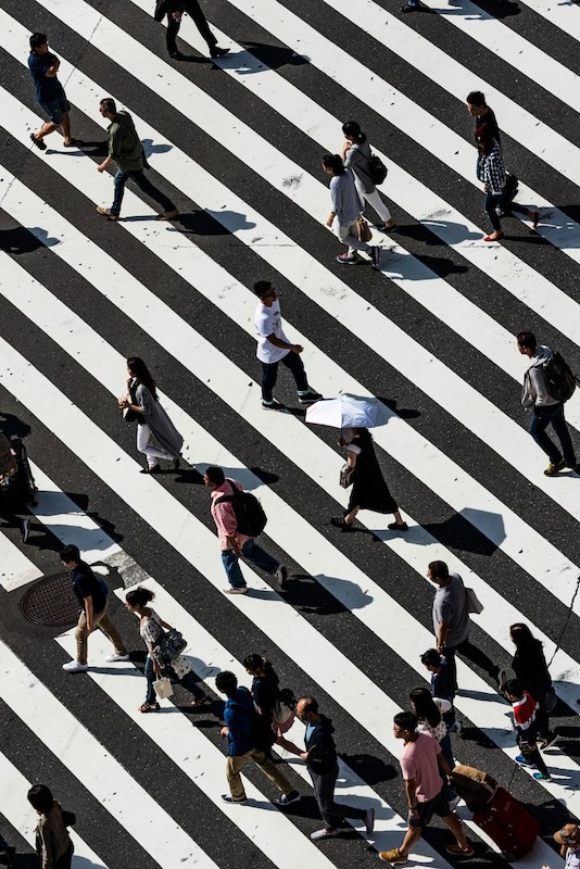 Aerial view of pedestrians walking through a crosswalk - people walking across black and white striped crosswalk from above casting shadows
