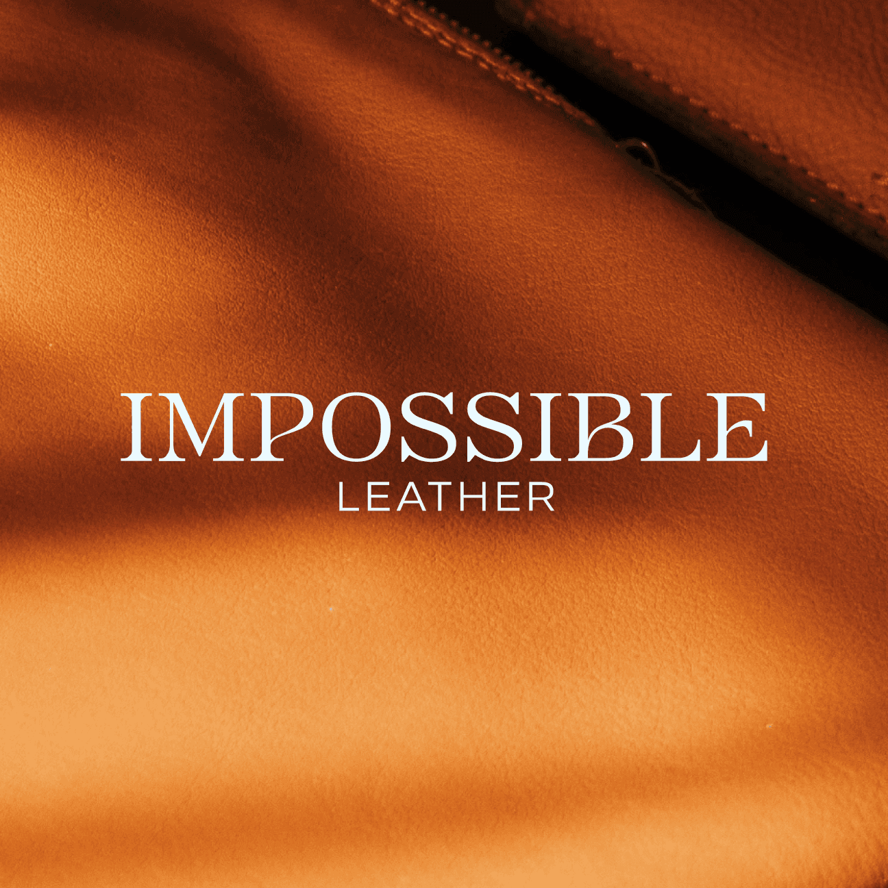 Streetside billboard with flyposters of the Batch.Works brand and illustrations