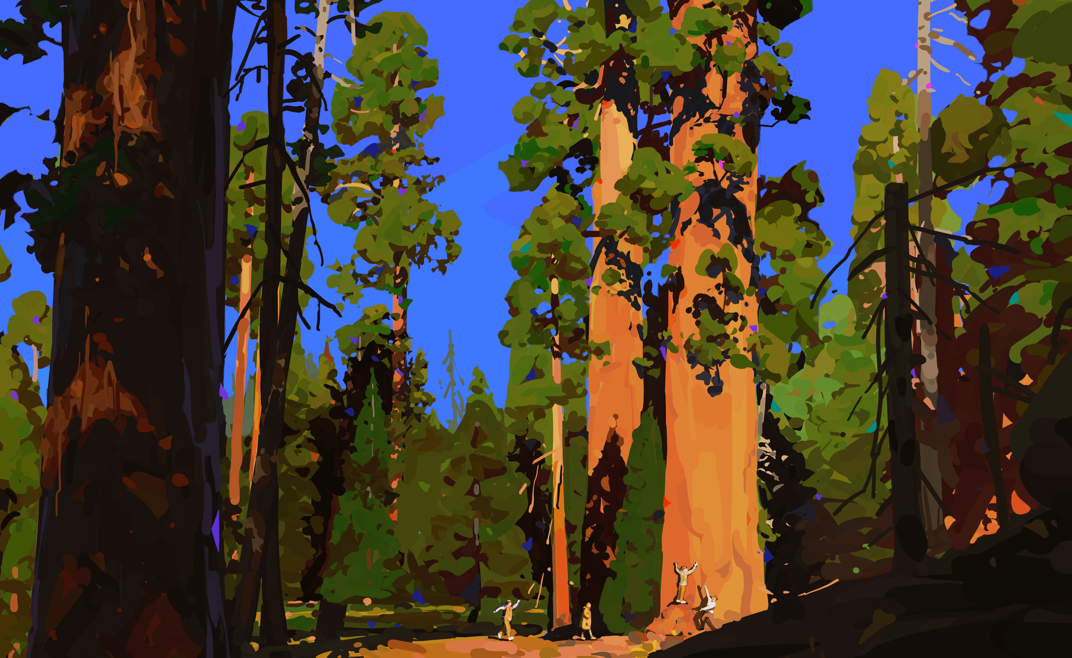 sequoia