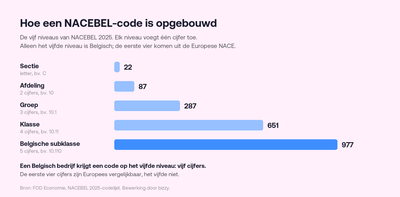 De vijf niveaus van een NACEBEL 2025-code, van 22 secties tot 977 Belgische subklassen