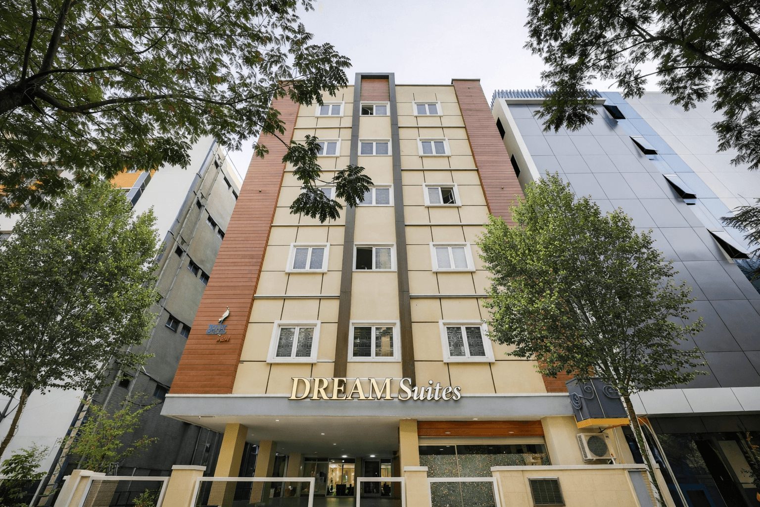 Modern landscaped garden showcasing professional outdoor design.