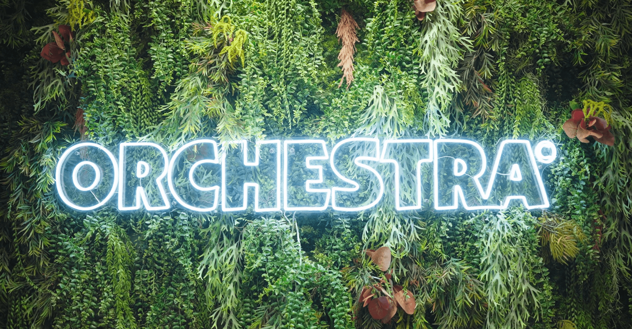 Image de l'entreprise Orchestra