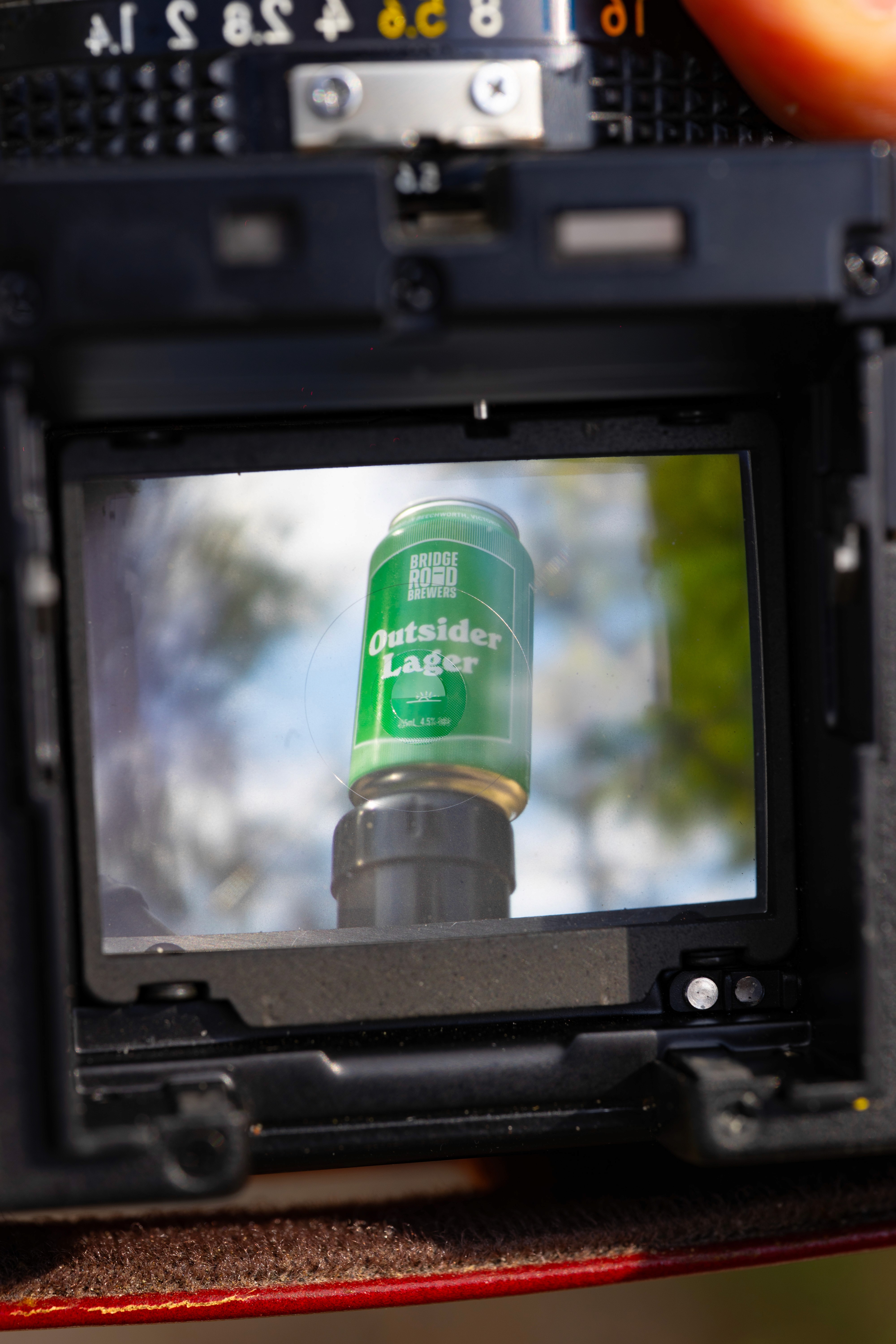 E6 film slides on light table at brunswick darkroom