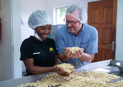Zwei Mitarbeiter der Sunshine Nut Co. bei der Qualitätsprüfung von frischen Cashewnüssen in der Produktionsstätte.