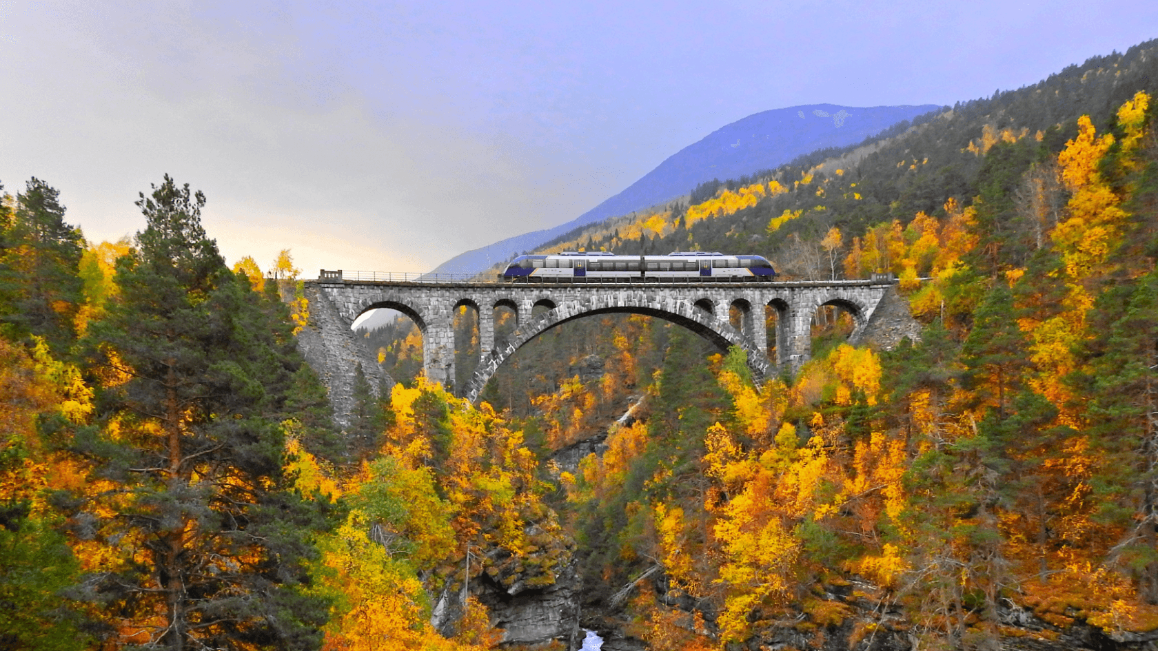 A train going over a viaduct in autumn foliage