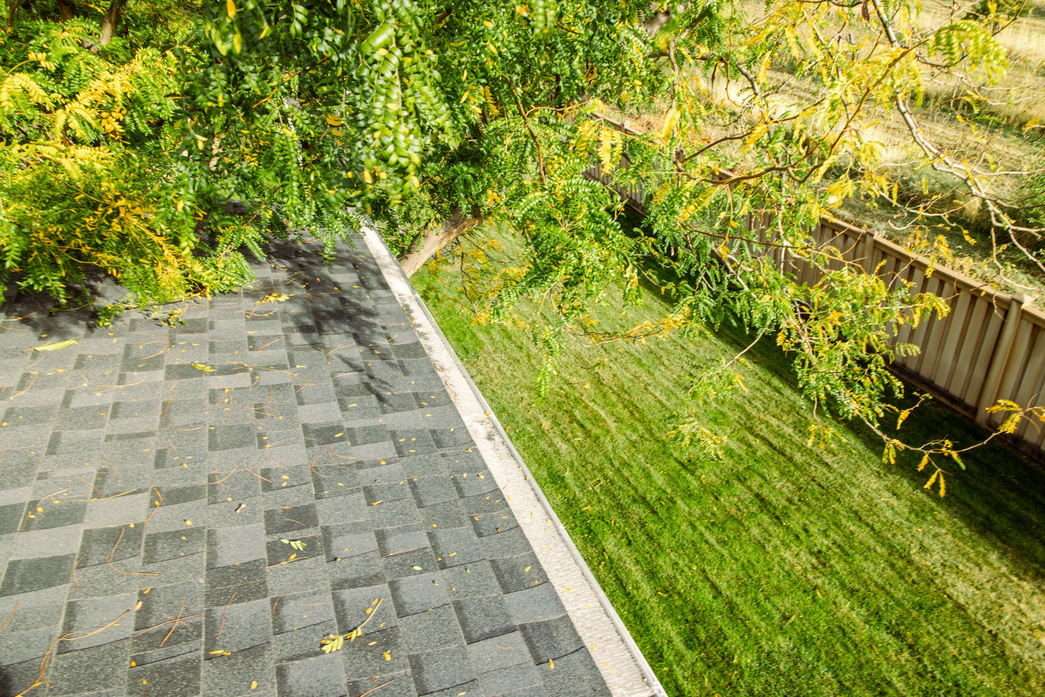 Clean, leaf-free gutters after Utah maintenance service