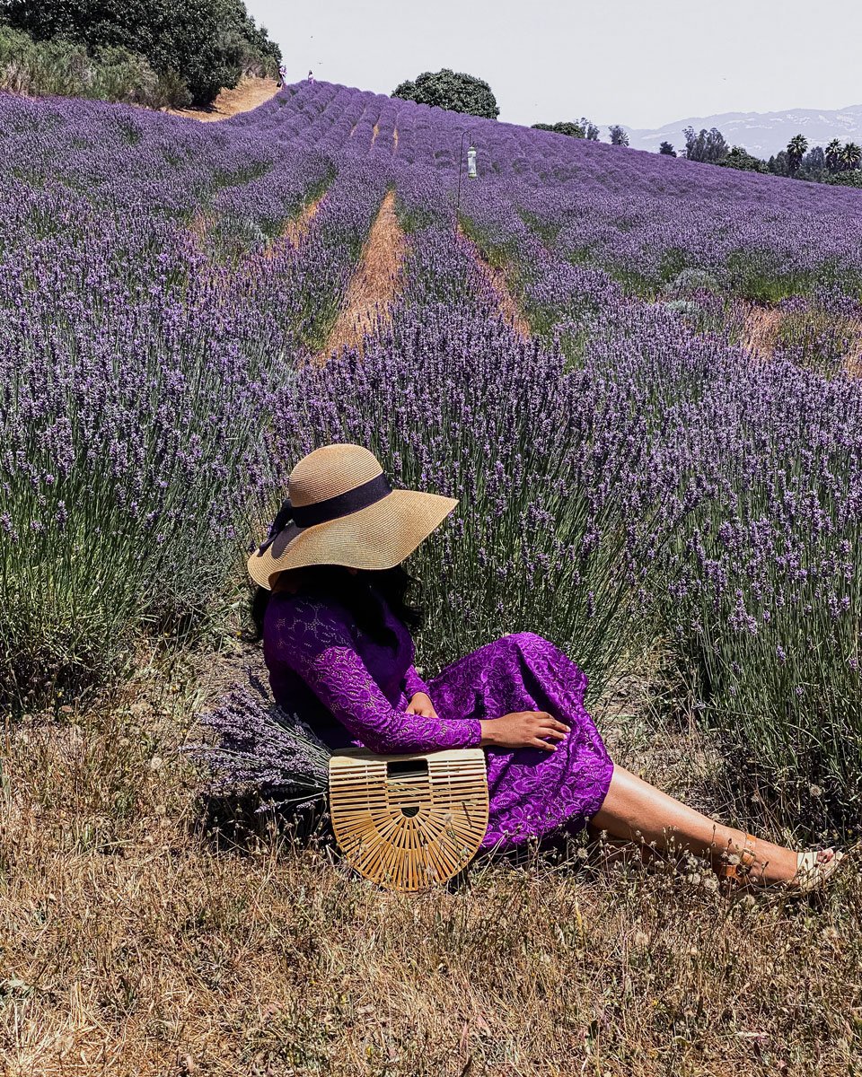 Lavender Farm Point Skyfall