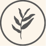 Brand Icon