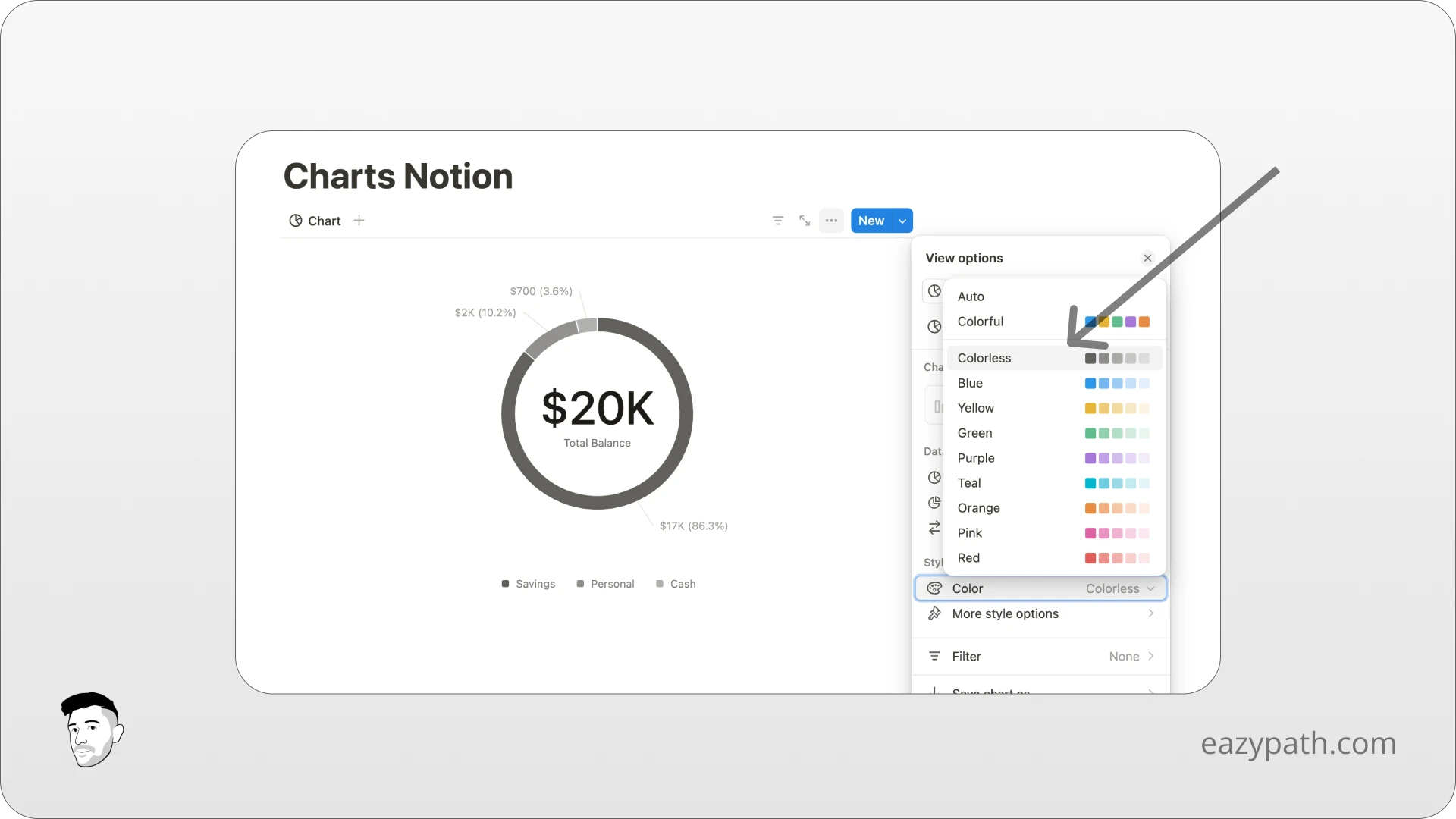 How to customize the Notion charts - Color