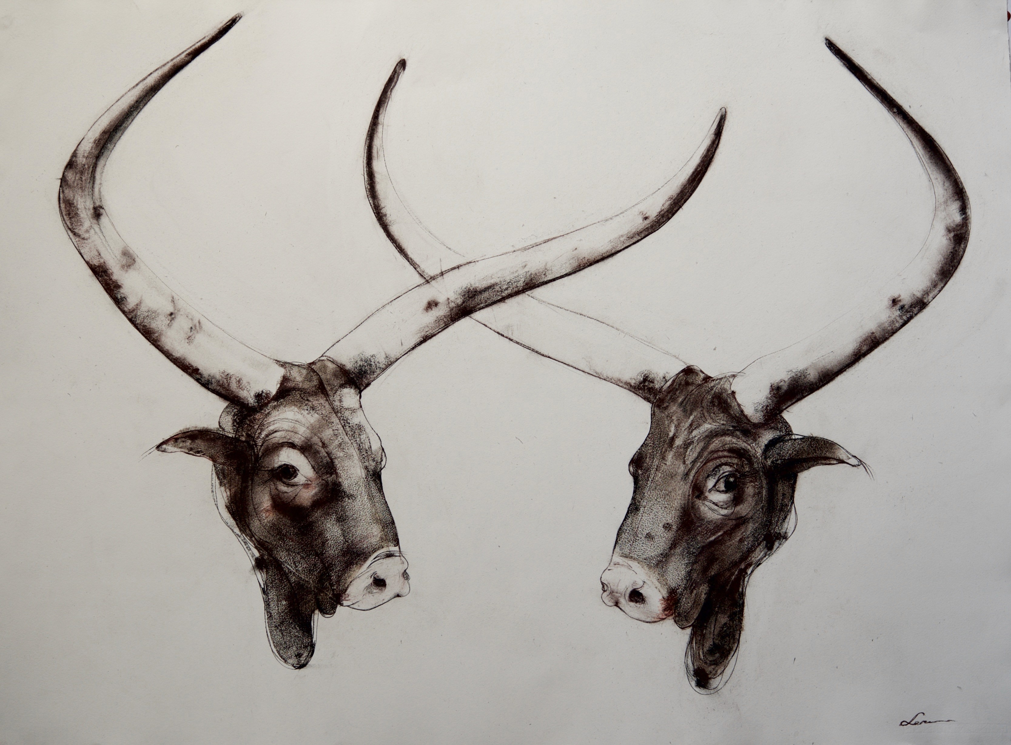 Two intricately sketched bull heads with long, curved horns, facing forward against a plain background, showcasing detailed textures and expressive eyes.