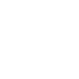 Privacy Icon
