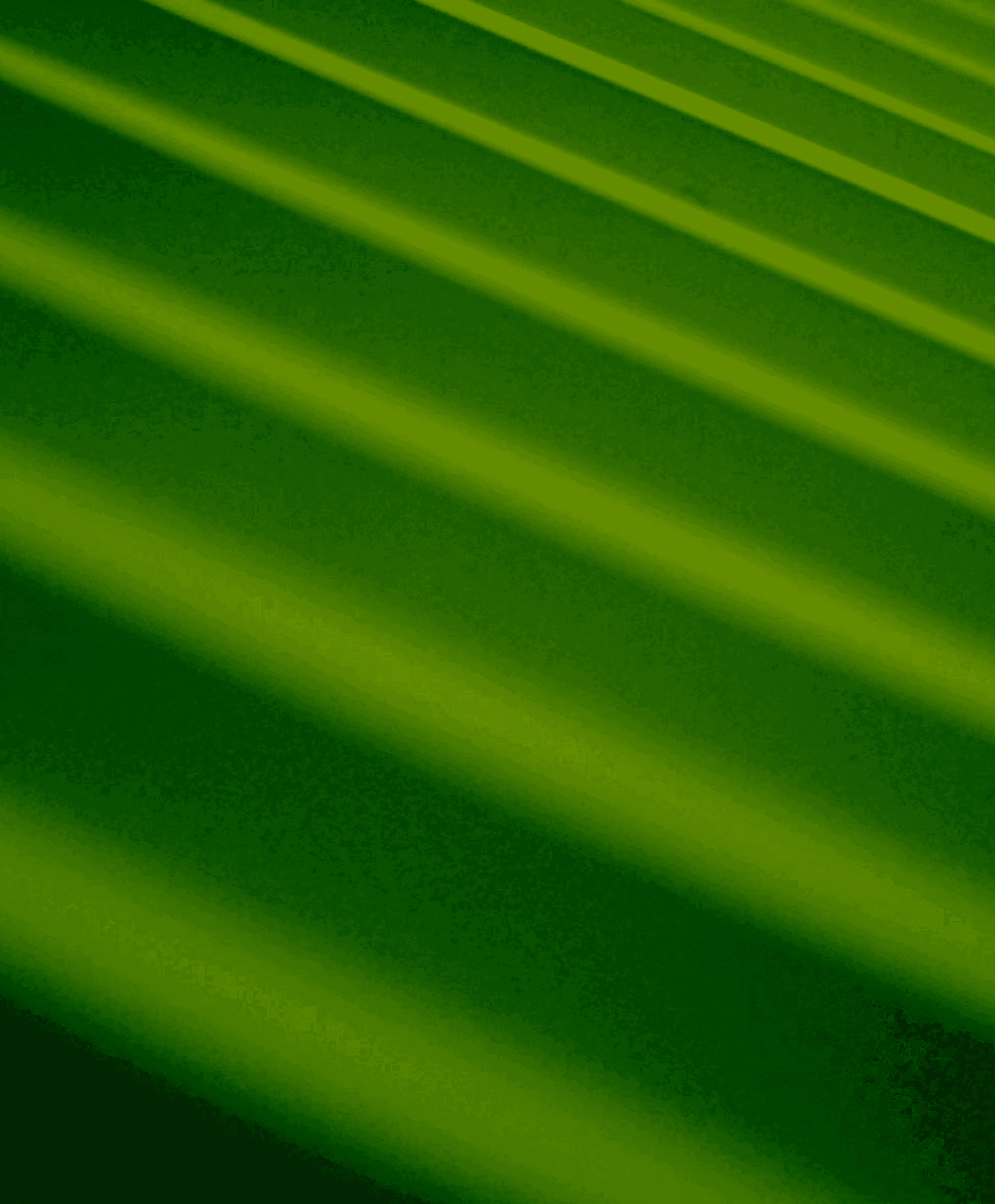 BG Image