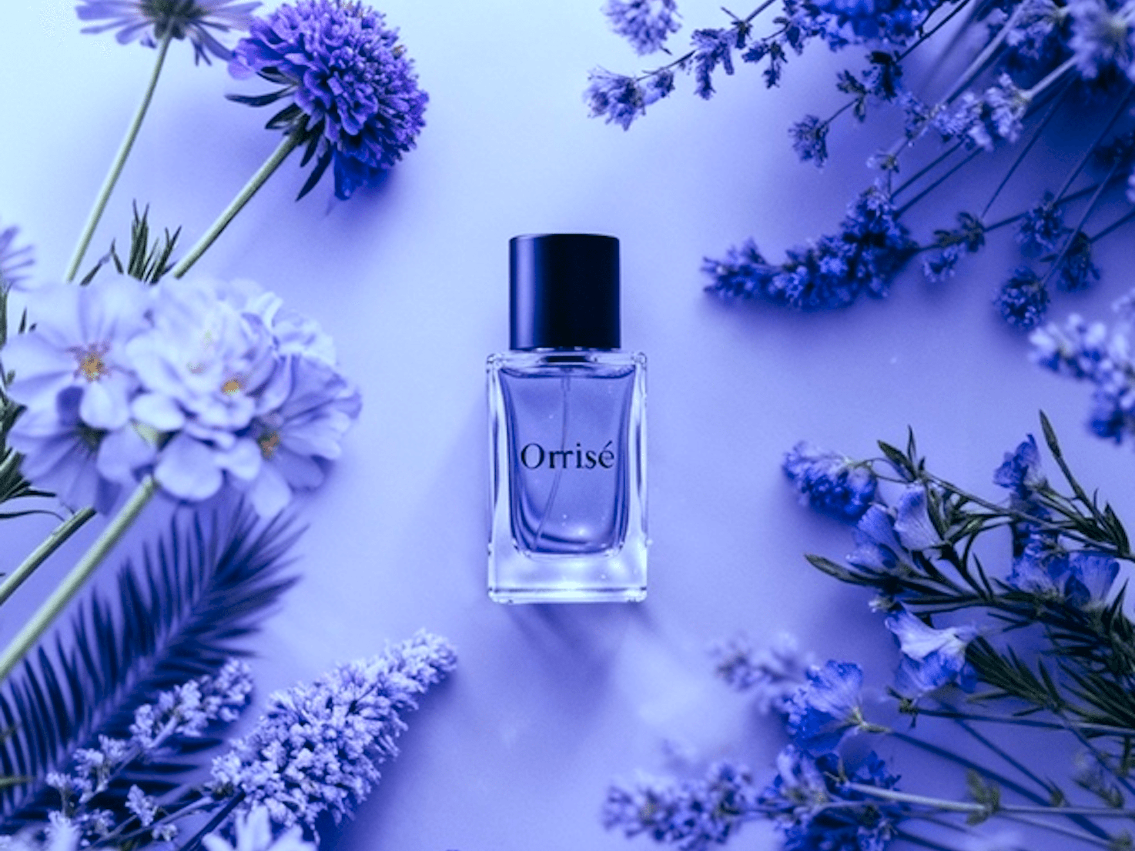 Minimalist perfume bottle labeled 'Orrisé' surrounded by soft-focus purple flowers.