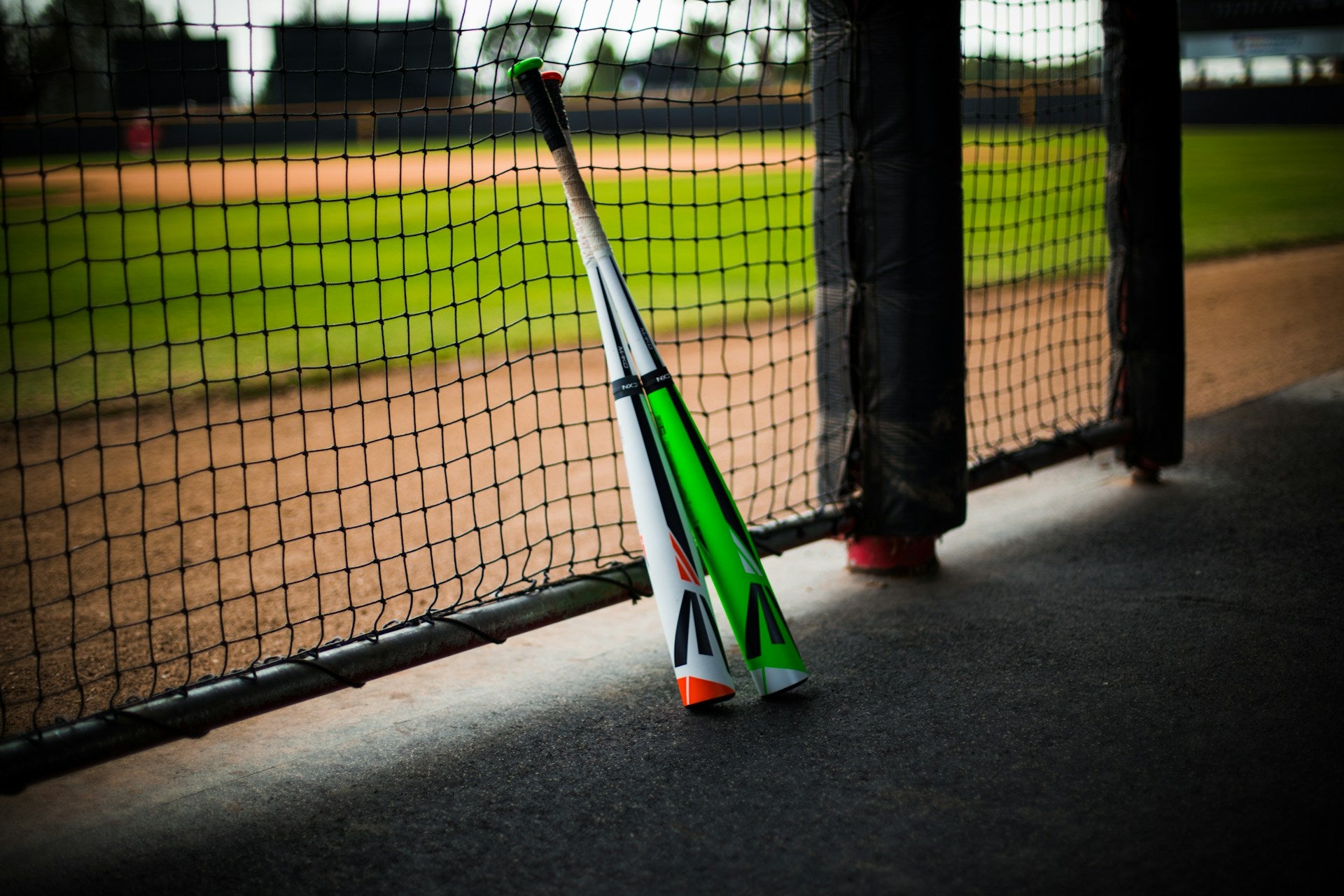 Baseball Bat