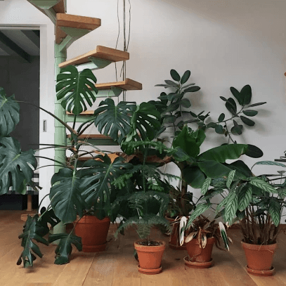 Casual lifestyle shot capturing everyday moments.