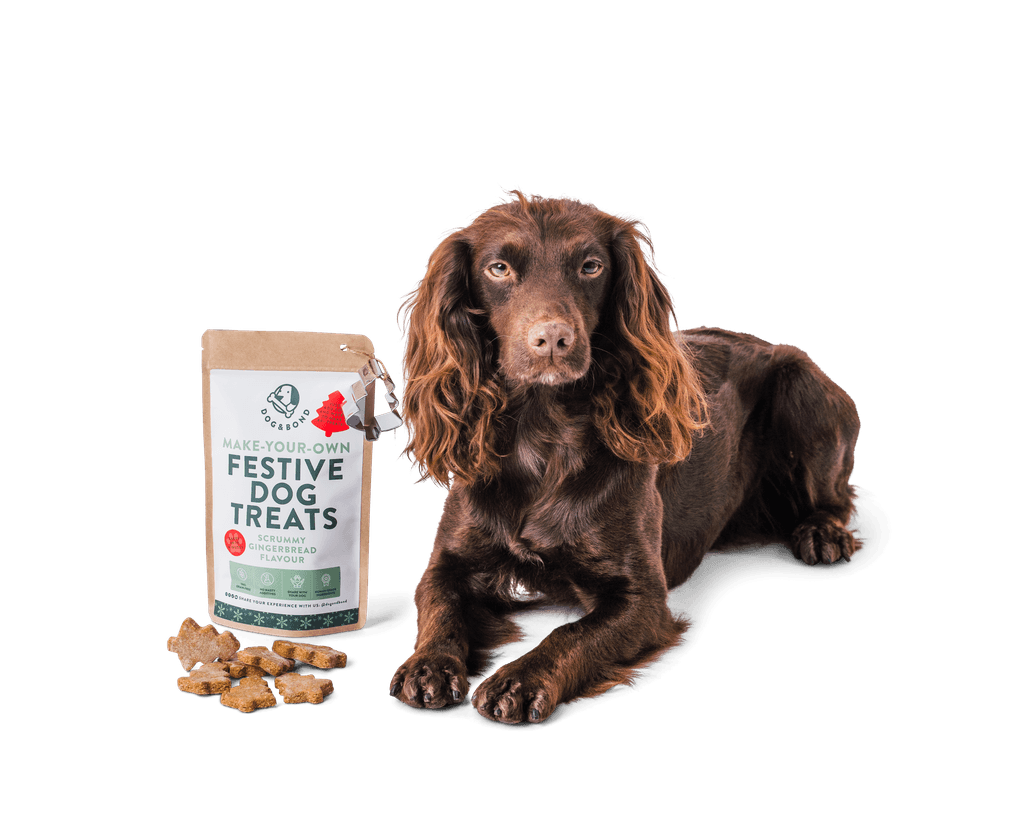 Dog poses with a pack of Dog & Bond