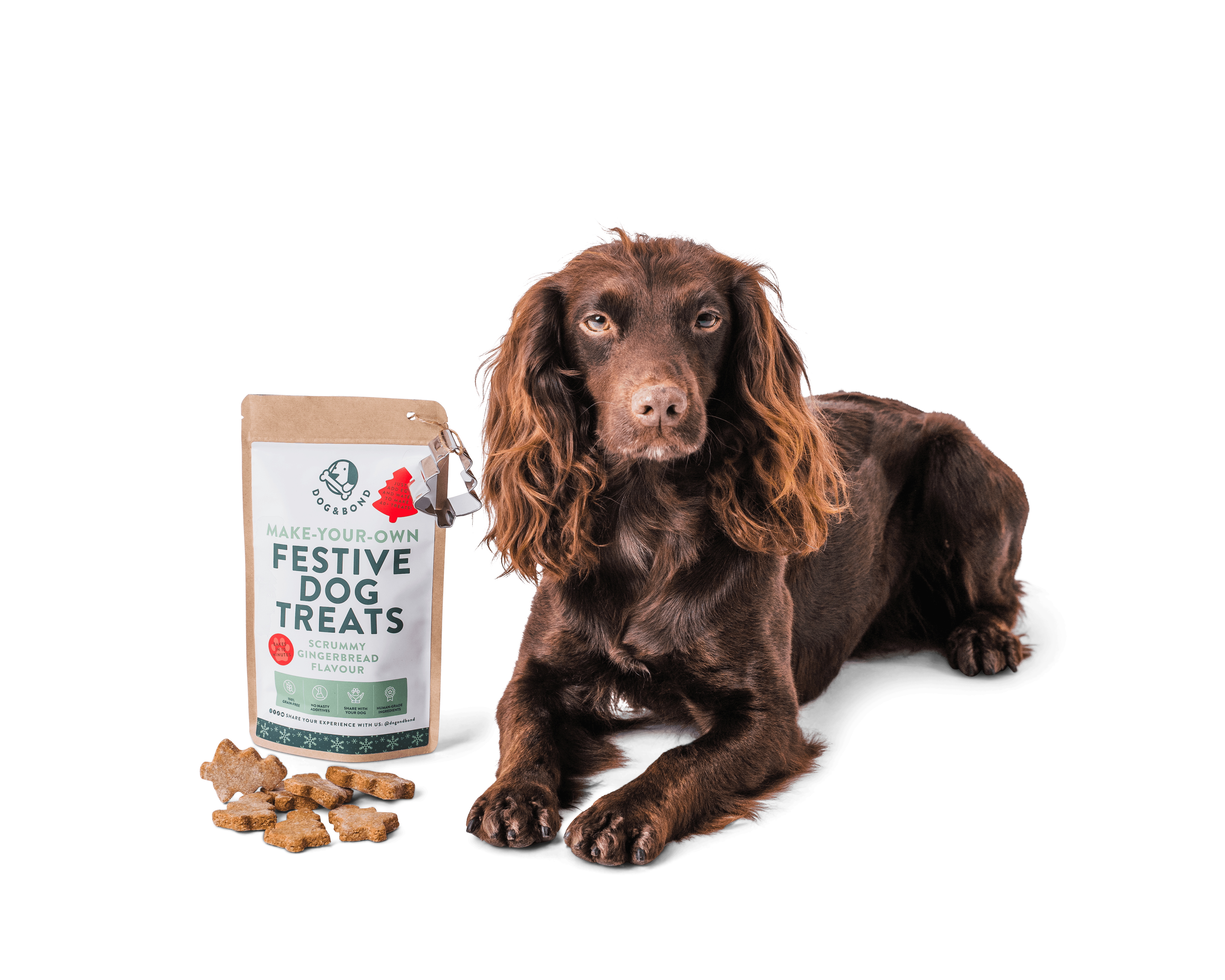 Dog poses with a pack of Dog & Bond