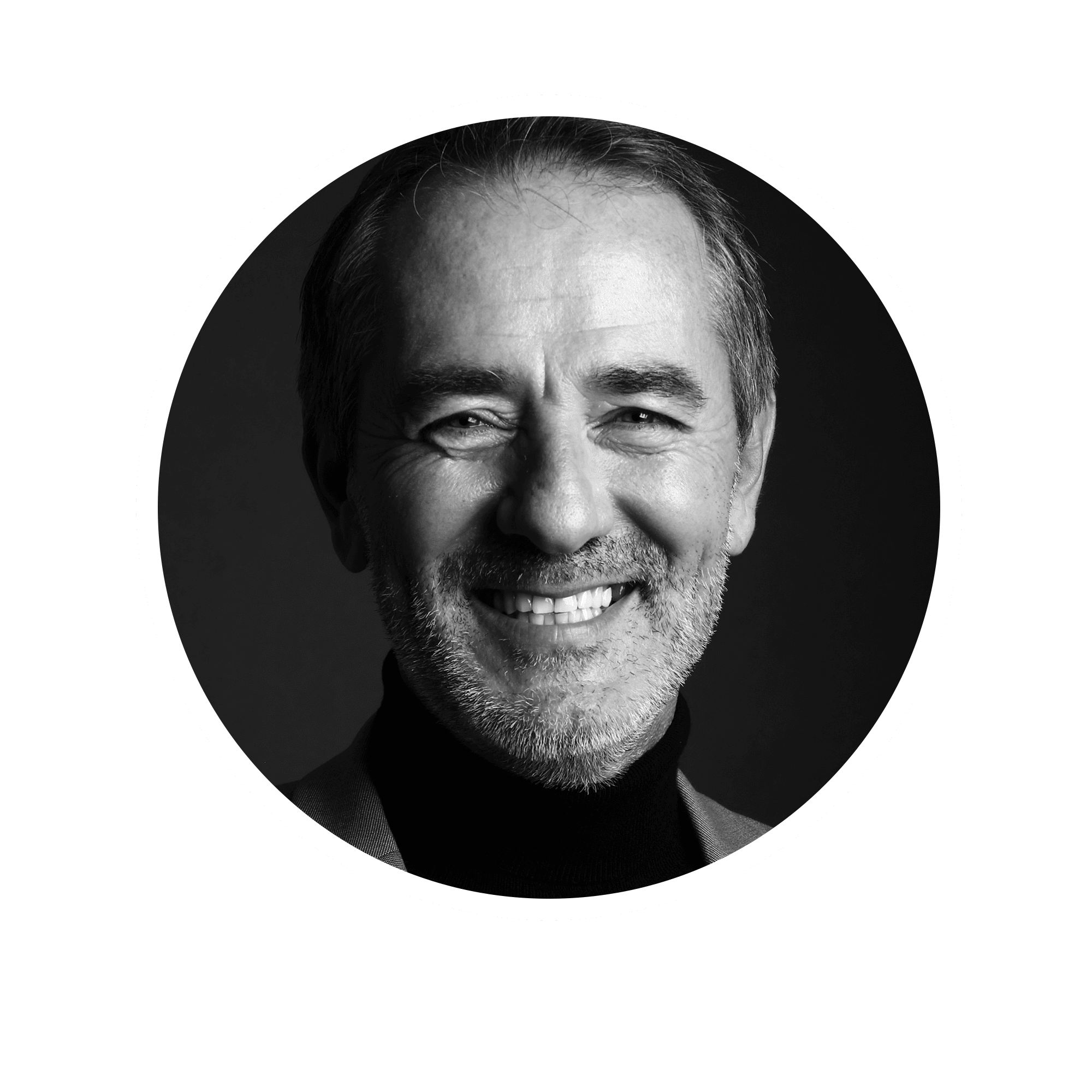 Portrait of a small brown dog on yellow background