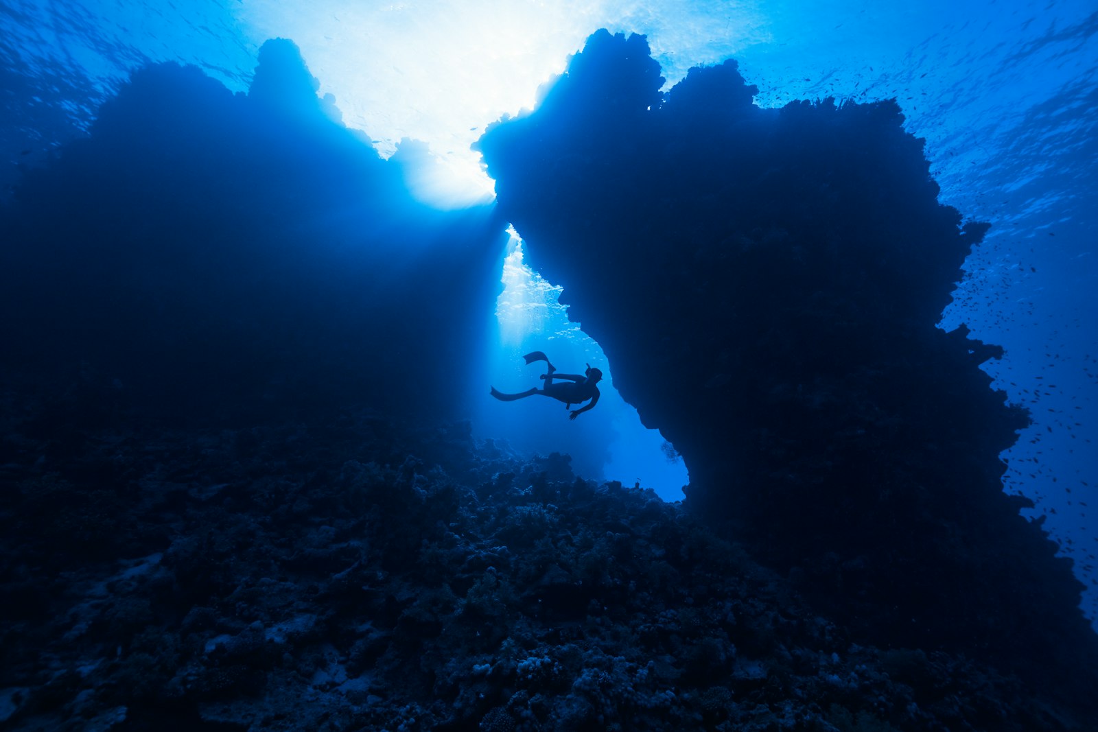 Diver swimming through a deep underwater canyon between rock formations