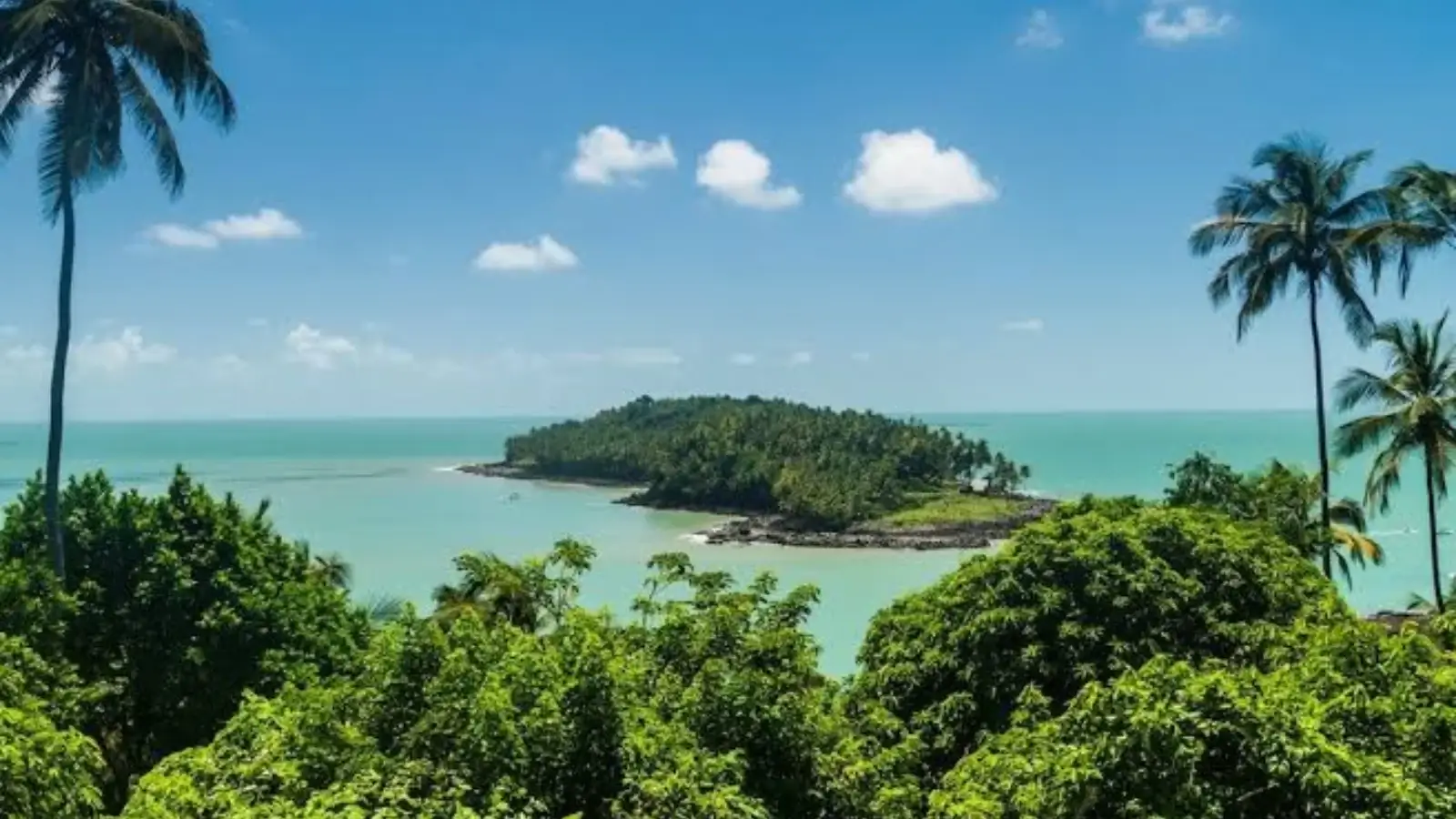 Things to Do in French Guiana