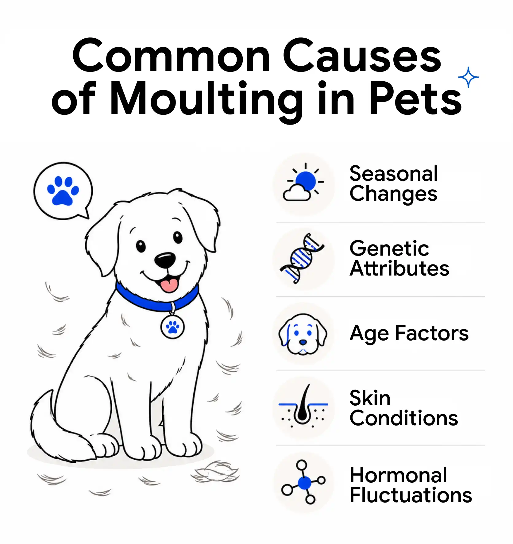 An infographic showing the causes of moulting in pets.