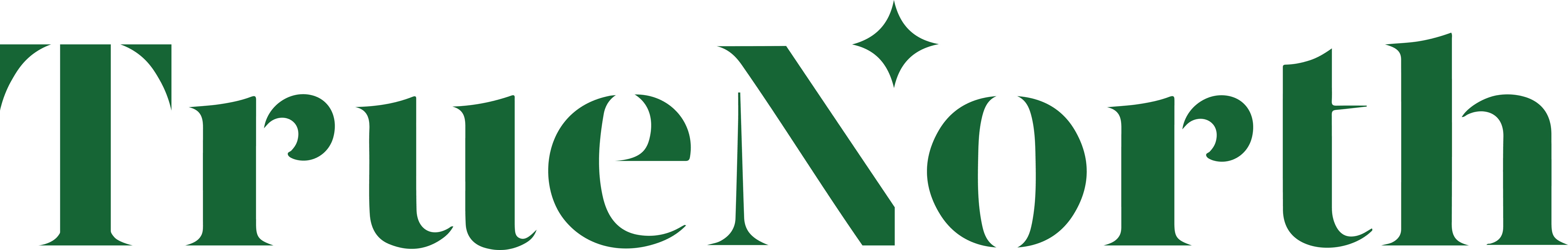 true north logo