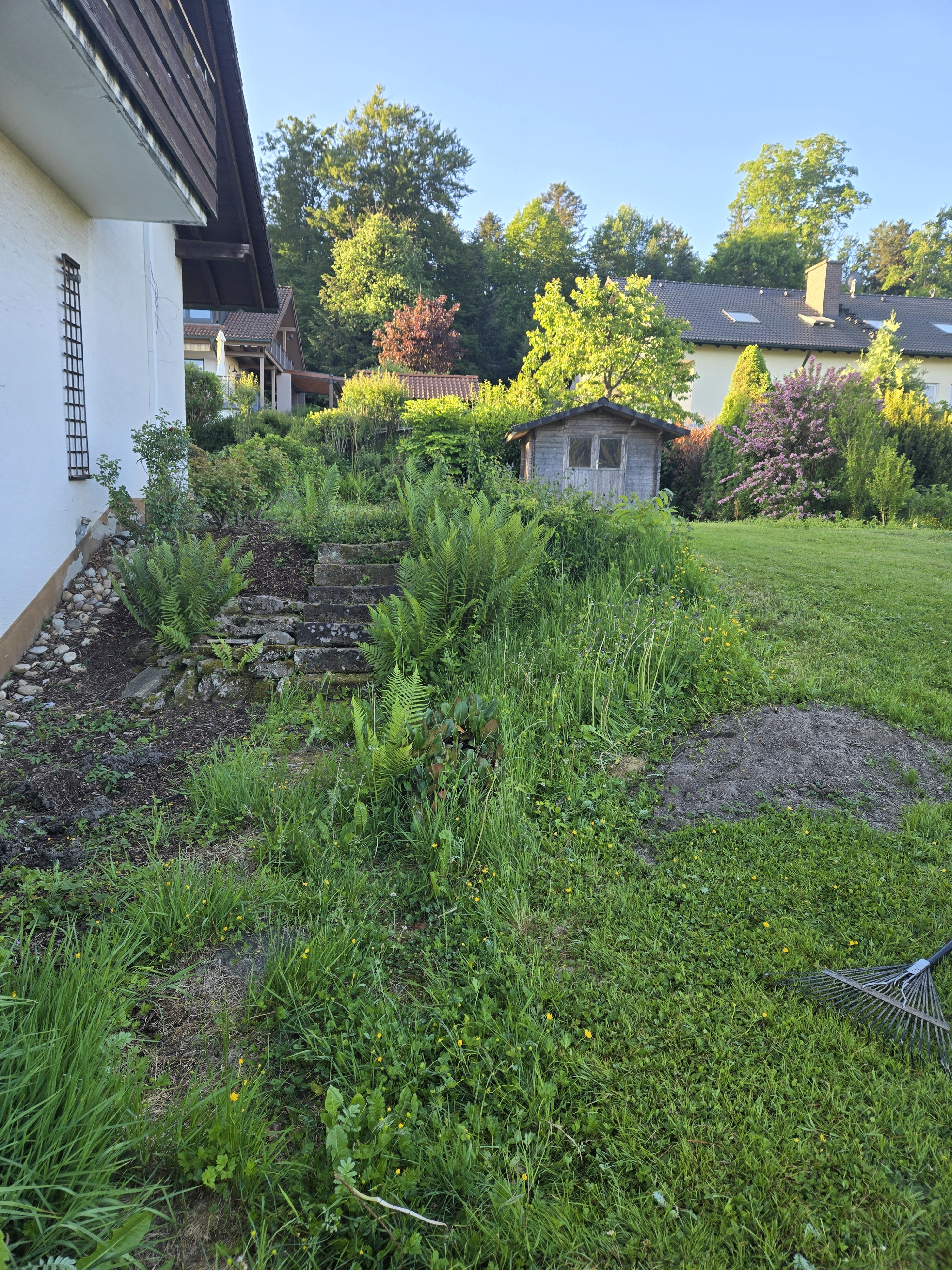 Three road cyclists climbing a narrow uphill road through a wooded landscape during a training ride.